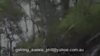 Barenaked in the Park