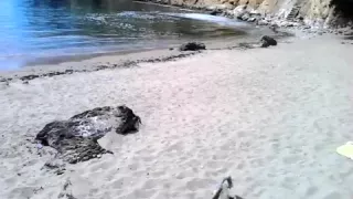 Amatoriale, Spiaggia, Gay, In Pubblico