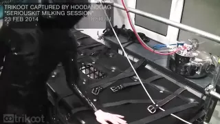 SeriousKit rubber milking session