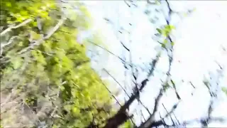 Caught by Hiker then by Sucker