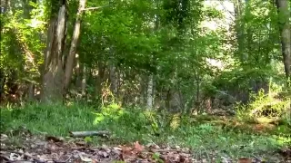 Amatoriale, Asiatiche, Gay, Masturbazione, Pipì, Selvaggio