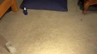 Auf dem Rücken, die Beine in der Luft