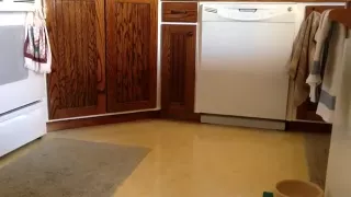 Zerreiße und entkleide dich auf dem Küchenboden!