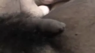 Uncut jerk off flabby to hard