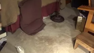 overhead view of a Dad masturbating