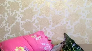 korean beauty secret video on 06/06/15 from chaturbate