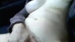 Sexy Wife Lewd Truck Ride