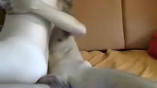 prettycpl19 secret clip on 06/19/2015 from chaturbate