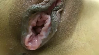 1919gogo 7632 Amateur Movies Amateur private masturbation 145