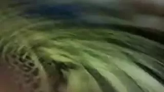 Hard Fuck Arab Corpulent Honeys