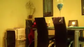 Twerkaholix dancing to sexy lady anthem !