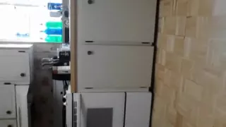 Twerking to 'Do My Dance' by Tyga