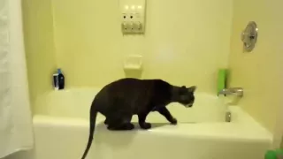 camwithxosophia amateur video 06/26/2015 from chaturbate