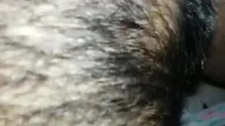 latin chick big beautiful woman red dilettante homeporn