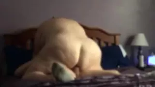 AMWF Taking care of my big beautiful woman Wifey Oriental Fella White Female