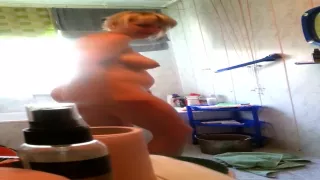 Wife caught masturbate