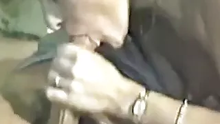 In die Moese reingesteckt