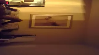 Two lovers fuck in the home made porn video clip