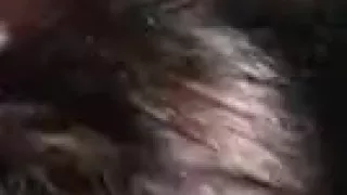 I became excited in my amateur blowjob video clip