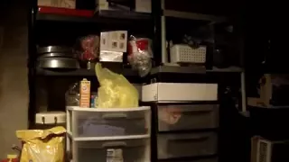 Incredible twerk cam legal age teenager movie scene