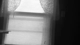 Avid twerk cam non-professional clip