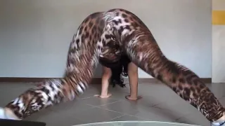 Desirous twerk livecam dance movie scene