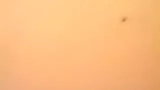 Excellent gazoo popping phone solo movie