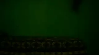 Lewd arse pop cam solo record