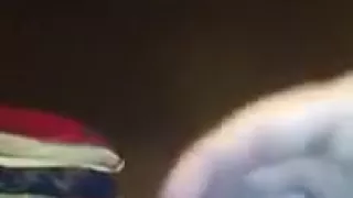 Lewd a-hole pop phone dance record