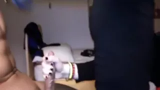 Itailan pair films their hawt moments