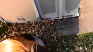 Outstanding outside fucking