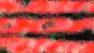 sexy souvenirs - caliente - my Mexican fellow - raw sex -