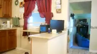 Daddy playing in the kitchen