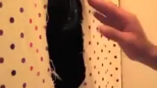 Gepiercter Pimmel am Gloryhole