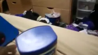 smooth and shiny nut bust