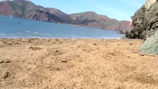 megasquirt xxl beach jack off cum