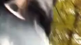 Very ripped jeans in main street - shlong nearly popping out.