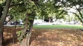 Pissing afternoon at busy street and park two