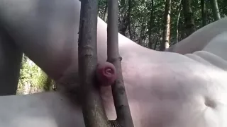 Rubbing my wood on wood