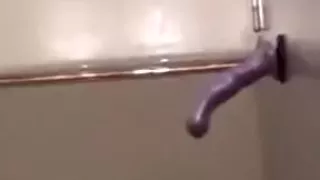 Amatør, Bh, Homo, Orgasme, Leker, Vibrator