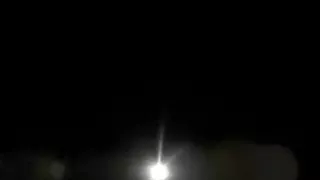 Hali puppy and his Alpha