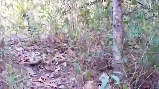 Amateur, Kunst, Zaad, Fetisch, Homoseksueel, Masturbatie