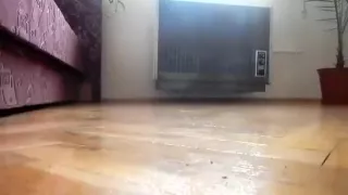 smelly immodest football socks take up with the tongue my barefoot and my spit