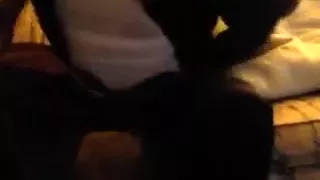 müde und schläfrig, aber ebenfalls sexuell erregt