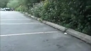 Fantasy In High Park