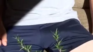 Jacking In The garden