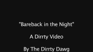 Bareback in the Night