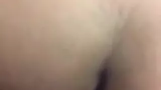 Dark Top Stealth breeding me