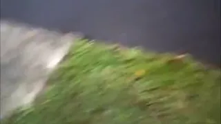 Gewagter öffentlicher unbekleideter Spaziergang im Wohngebiet und Pinkeln