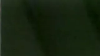 The Leather Studs in forest